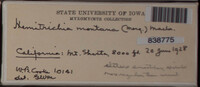 Image Associated With the Occurence